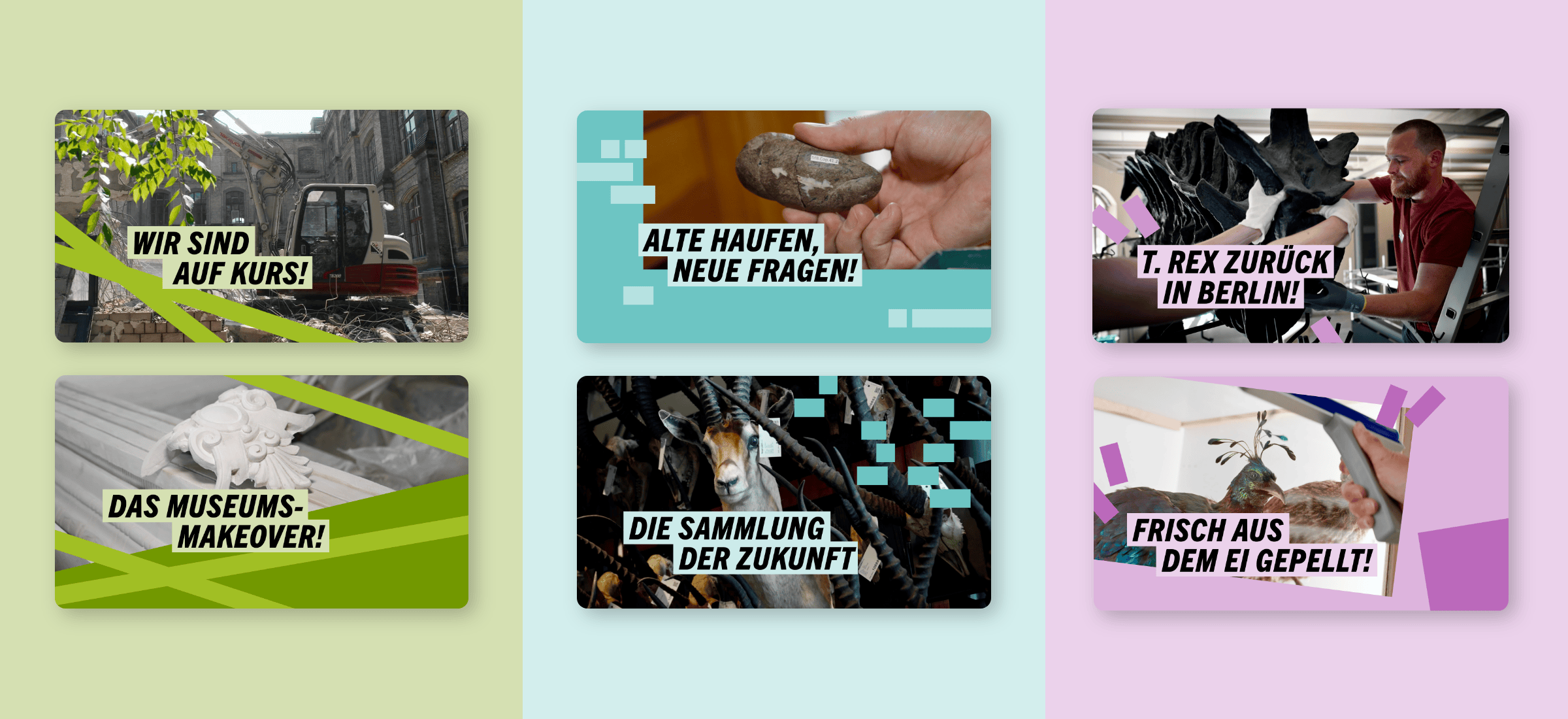 Übersicht mehrerer Kacheln zu Sammlung, Umbau und Exponaten