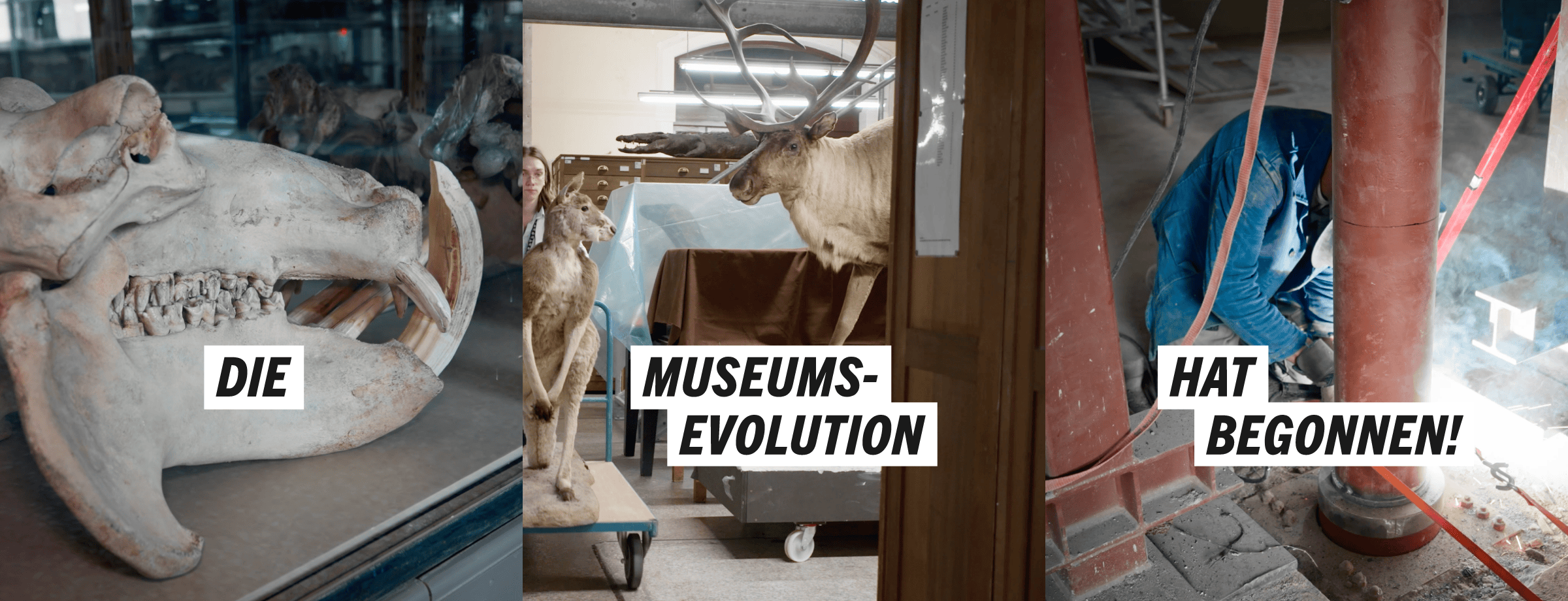 Dreiteilige Kampagnen-Grafik mit Museumsexponaten und Text zum Beginn der Museums-Evolution