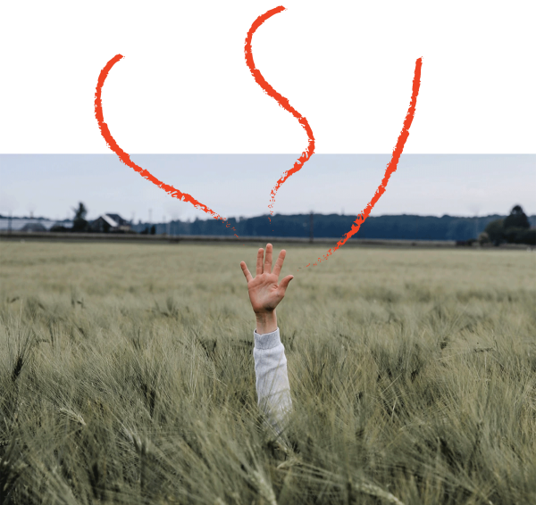 Aus einem Getreidefeld wird ein Arm gestreckt. Von der Hand gehen rote, geschwungene Linien nach oben.