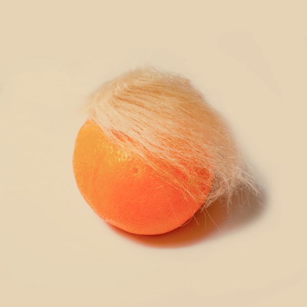 Eine Orange mit einer blonden Per&uuml;cke, die an den ehemaligen amerikanischen Pr&auml;sidenten Donald Trump erinnert.