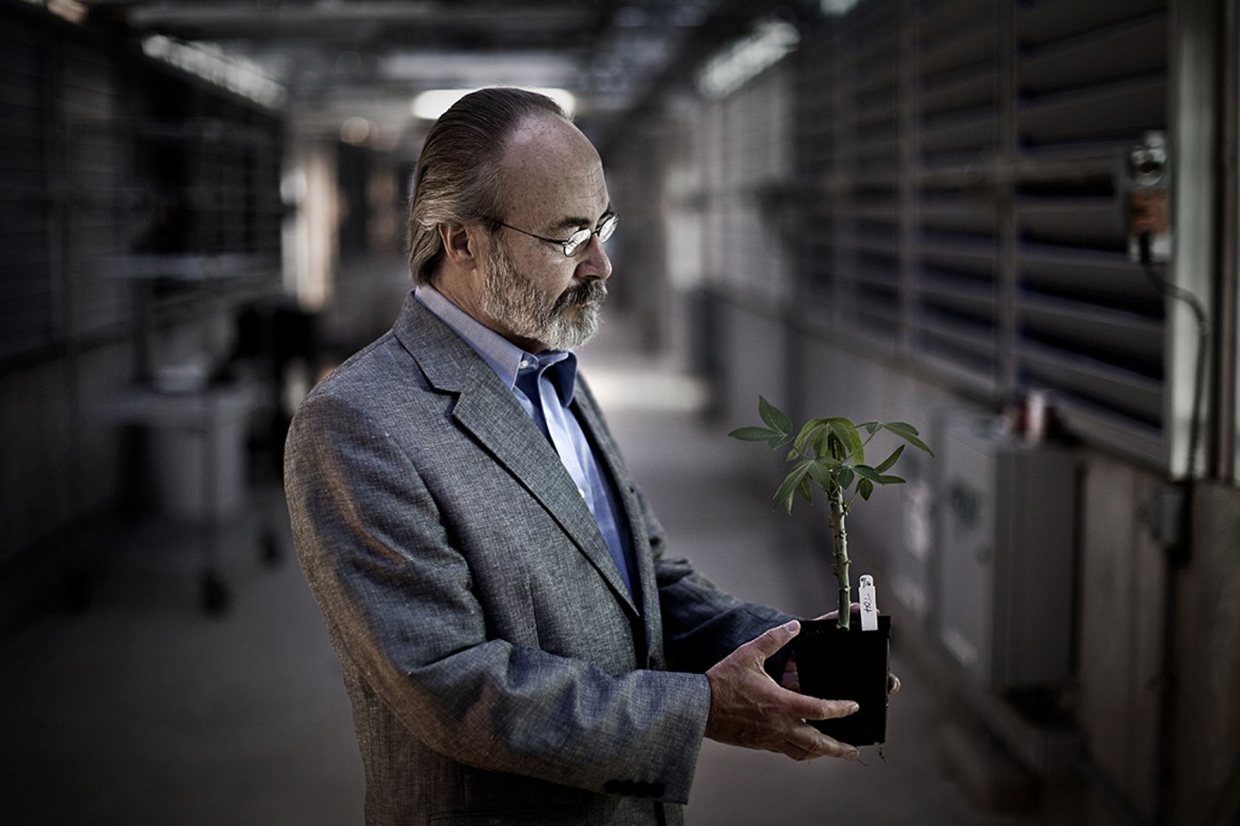 Ein Mann mit Bart, Brille und einem grauen Anzug h&auml;lt eine kleine Pflanze in einem schwarzen Topf den H&auml;nden.